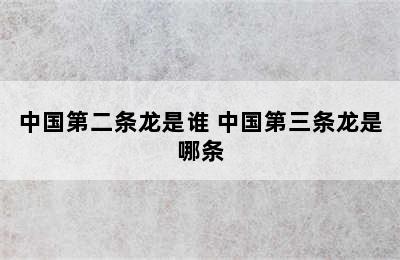 中国第二条龙是谁 中国第三条龙是哪条